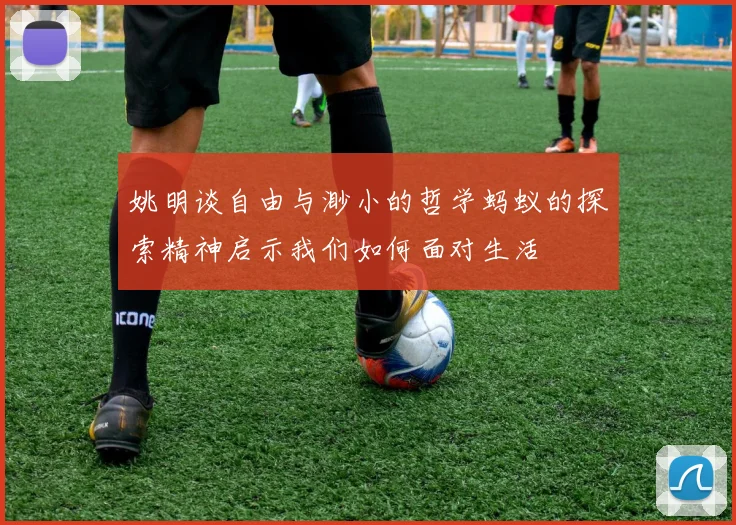 姚明谈自由与渺小的哲学蚂蚁的探索精神启示我们如何面对生活