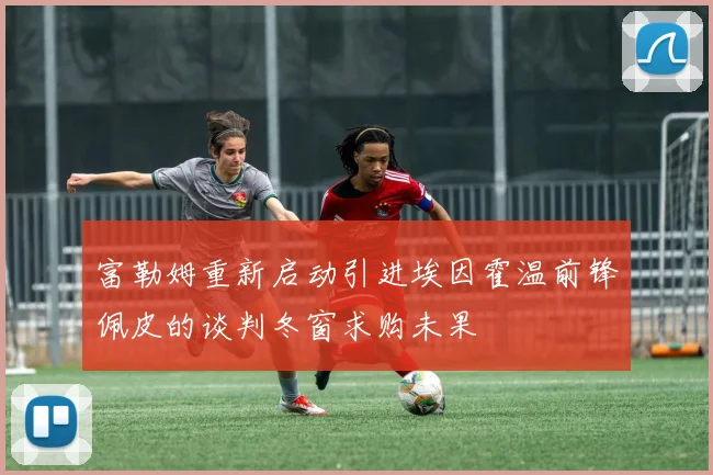 富勒姆重新启动引进埃因霍温前锋佩皮的谈判冬窗求购未果