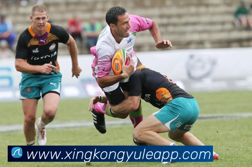 多媒体互动体验